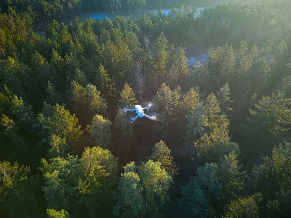 Un drone survole une forêt, conduisant des inspections de forêt. Cette nouvelle technologie améliore l'efficacité de la gestion forestière en utilisant des drones pour la gestion du bois.