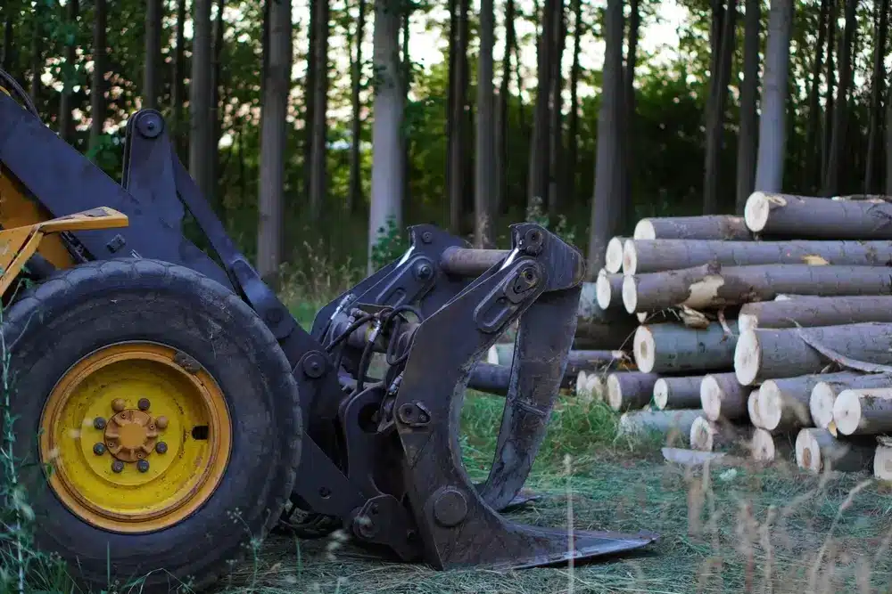 Tree felling. Grapple machine for moving felled poplar trunks.