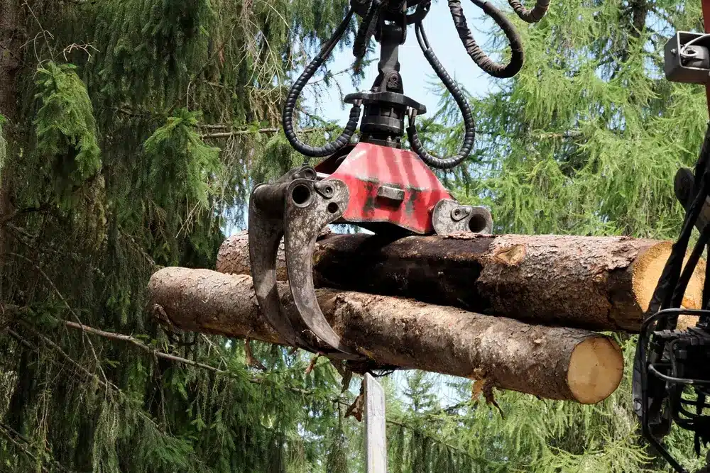 forestry crane