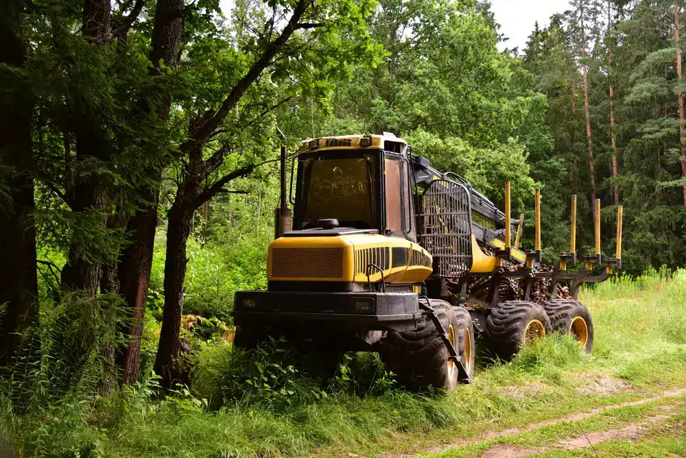 forestry machinery rental