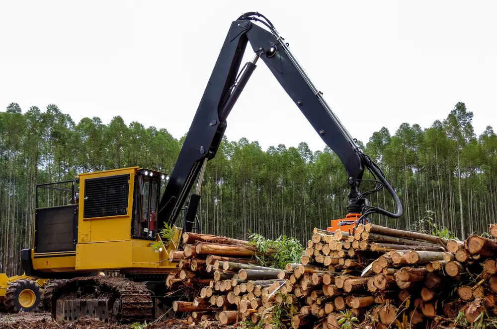 forestry rentals