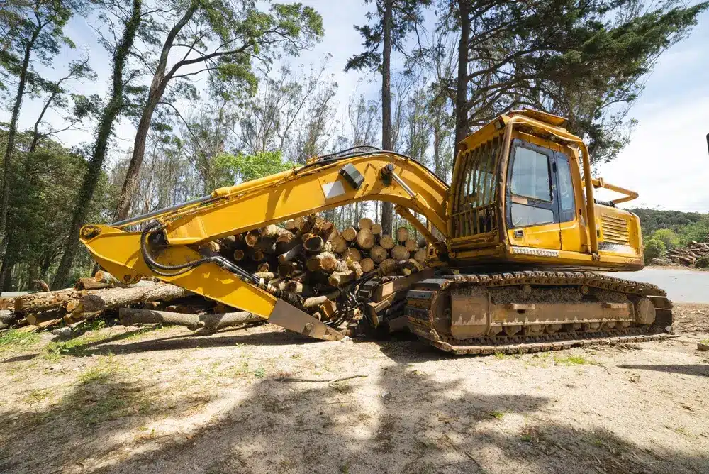 forestry rentals