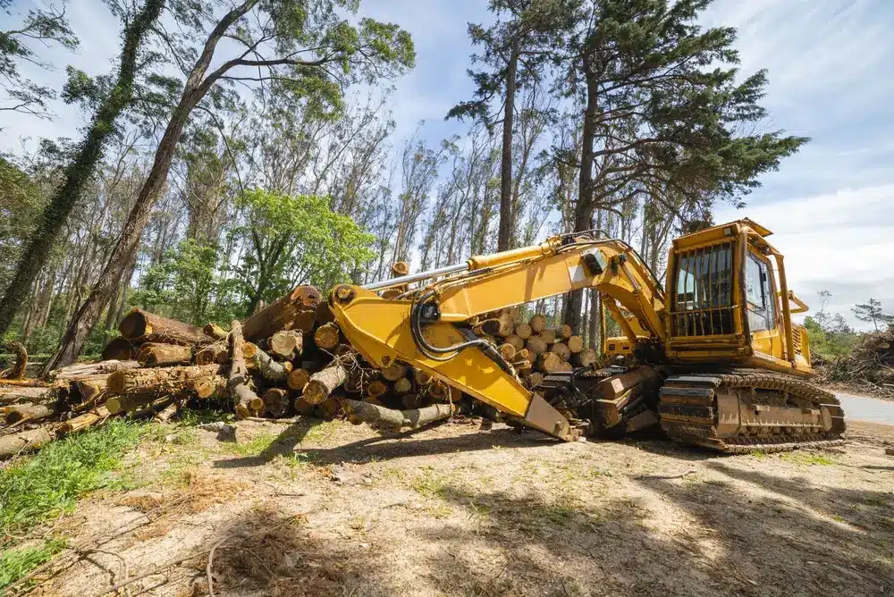 heavy forestry machines