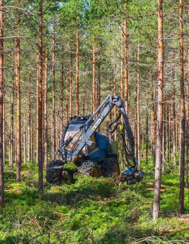 Forestry mulchers