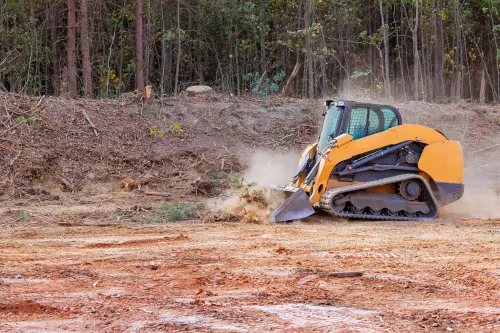clearing forest
