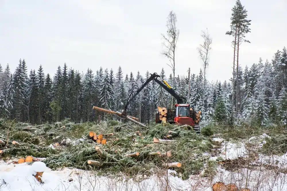 clearing projects