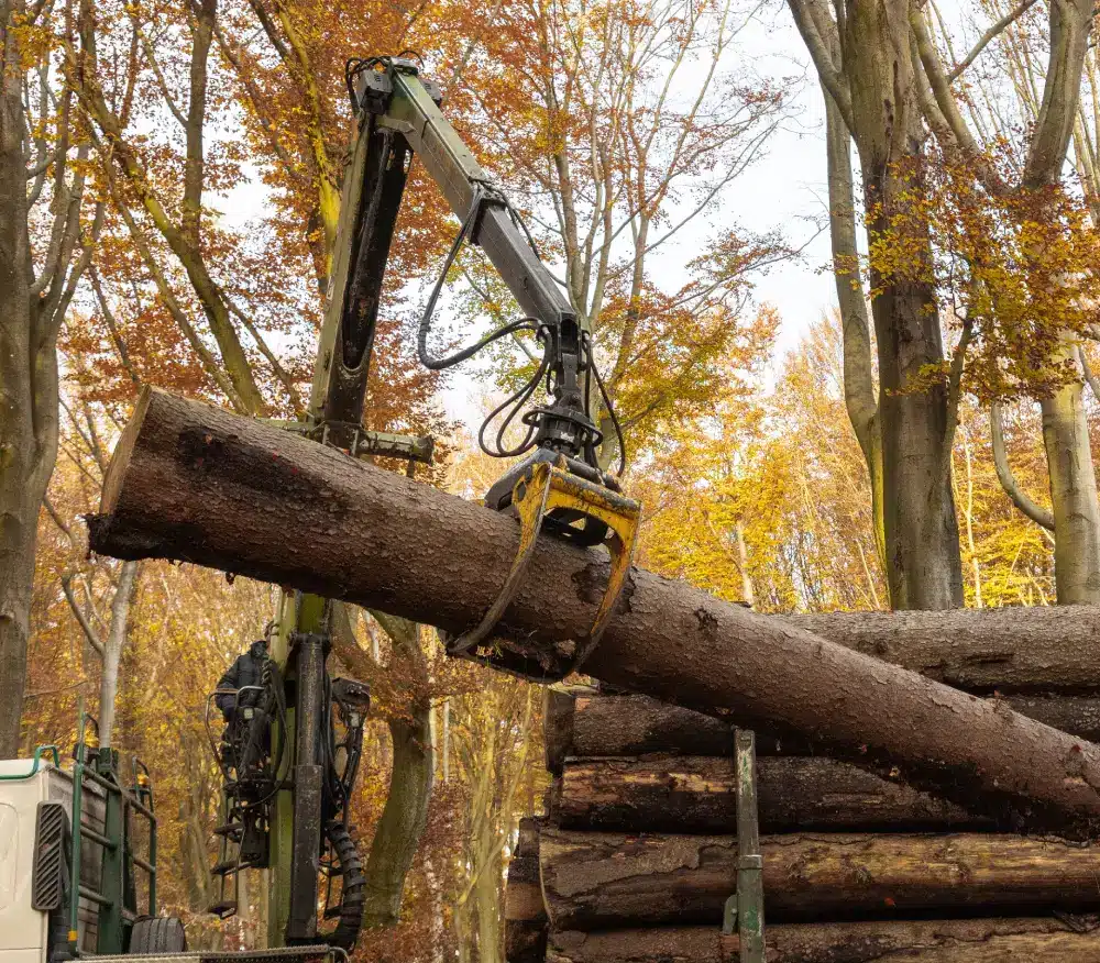 forestry equipment