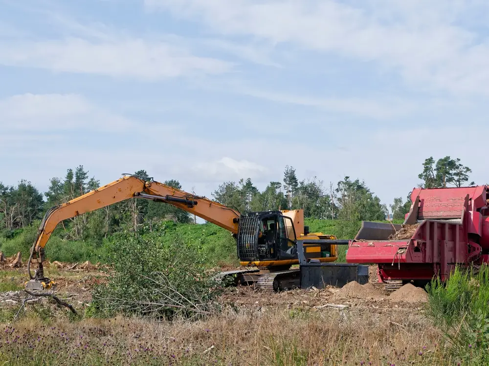 heavy forestry equipment